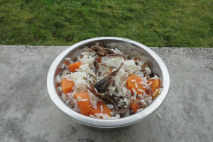 les rations m&eacute;nag&egrave;s