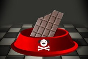 Le chocolat est du poison pour les chats et les chiens
