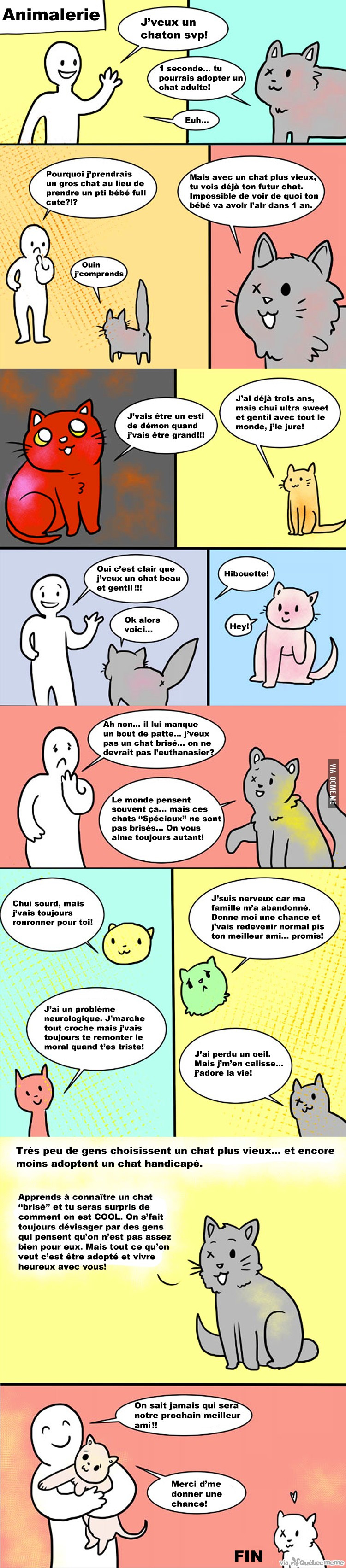 Lisez ceci avant d'adopter